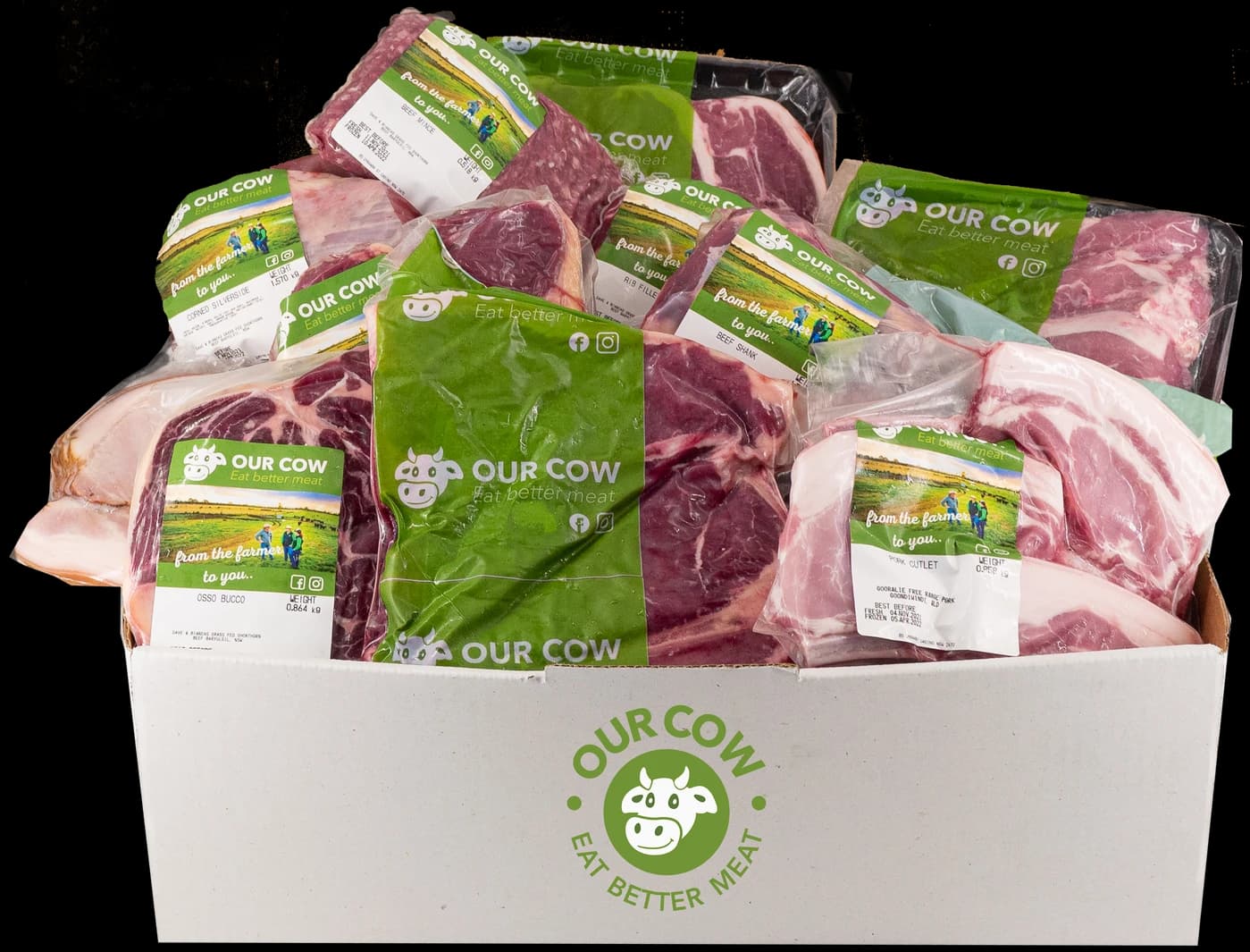 Carnivore Box