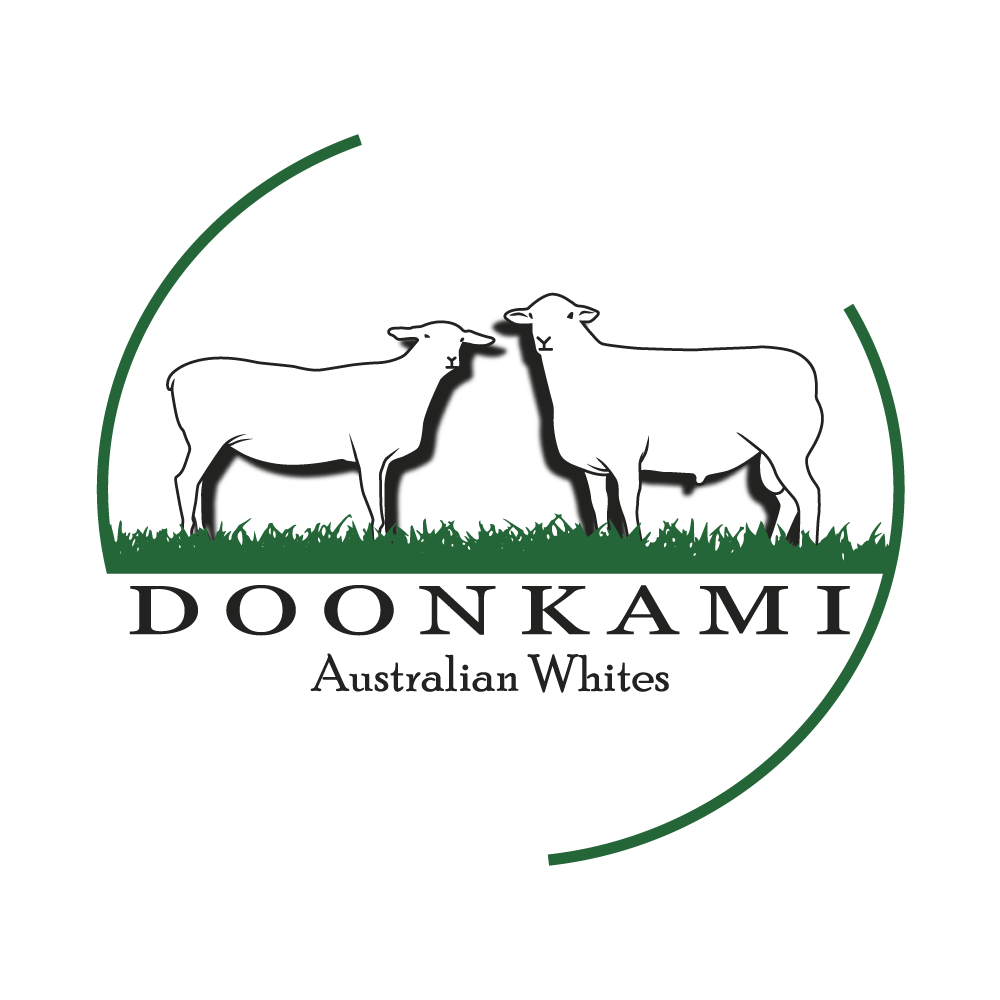 Scott & Hannah from Doonkami Aussie Whites Help Drive Support for Rural Aid