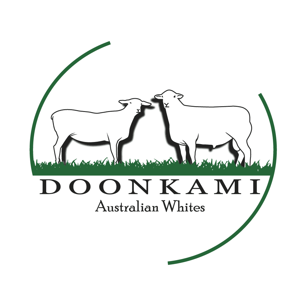 Scott & Hannah from Doonkami Aussie Whites Help Drive Support for Rural Aid