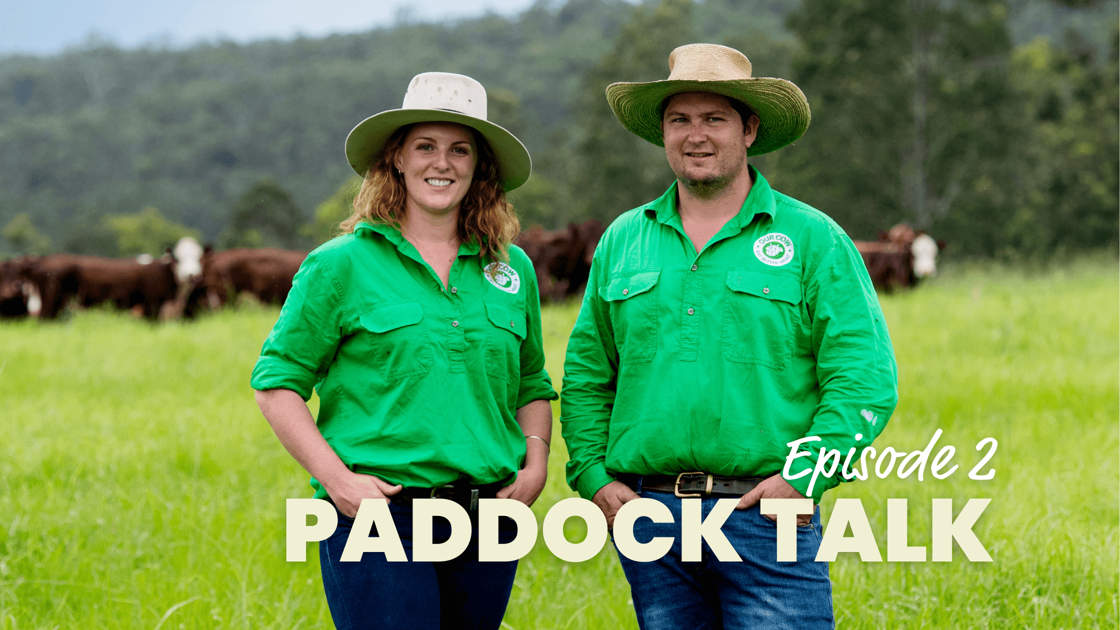 Paddock Talk: Episode 2 - Weathering the Storm