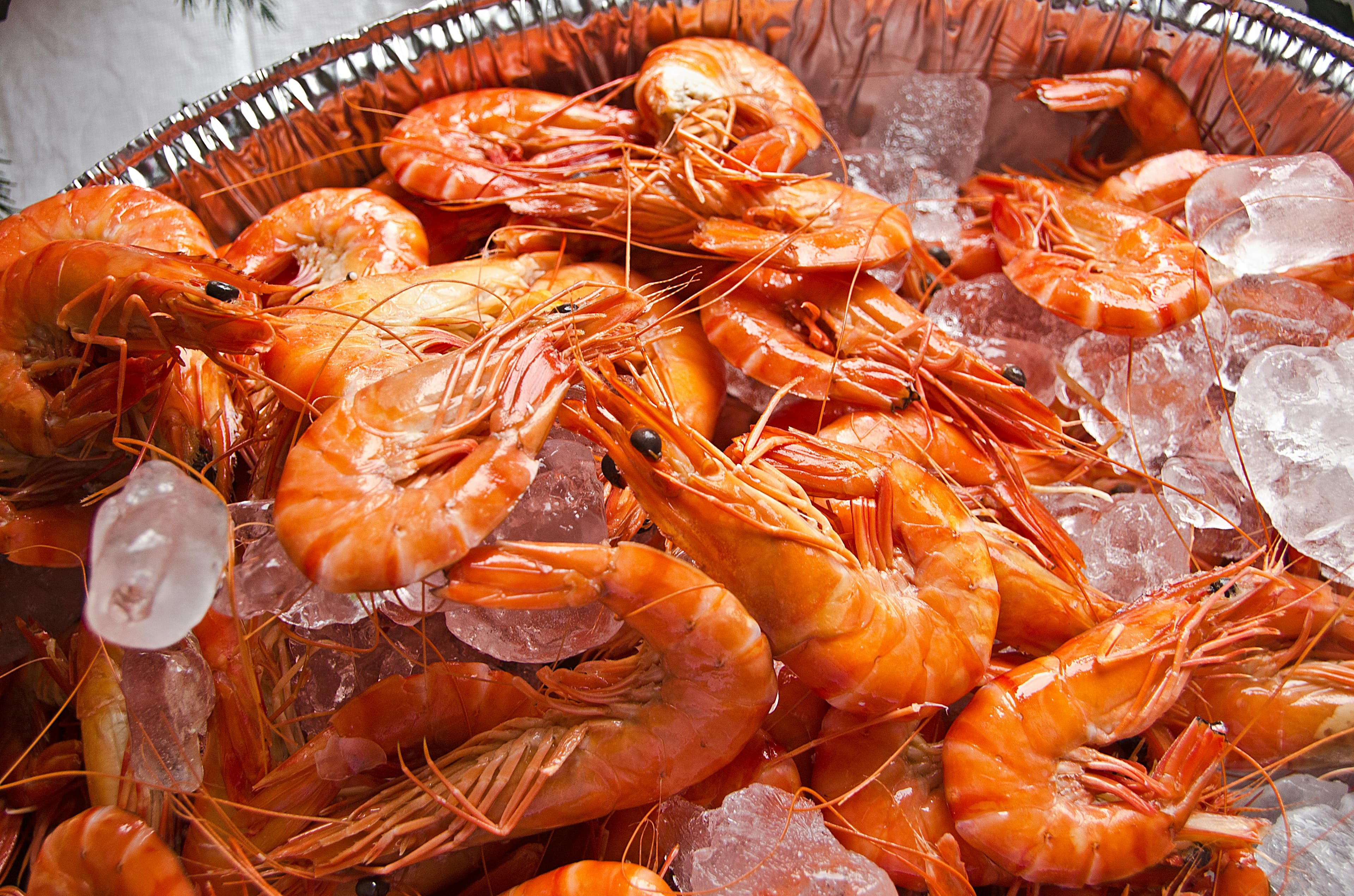 What Are Australian Prawns