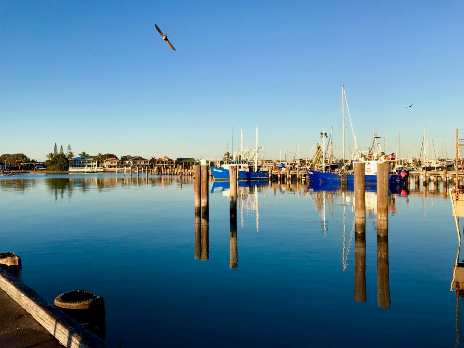 Our Farmers: Meet Paul & the team from Mooloolaba Fisheries, Sunshine Coast QLD