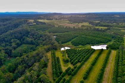 Our Farmers: Meet Mick & Thip Duck from Quackers Maccas, Northern Rivers NSW